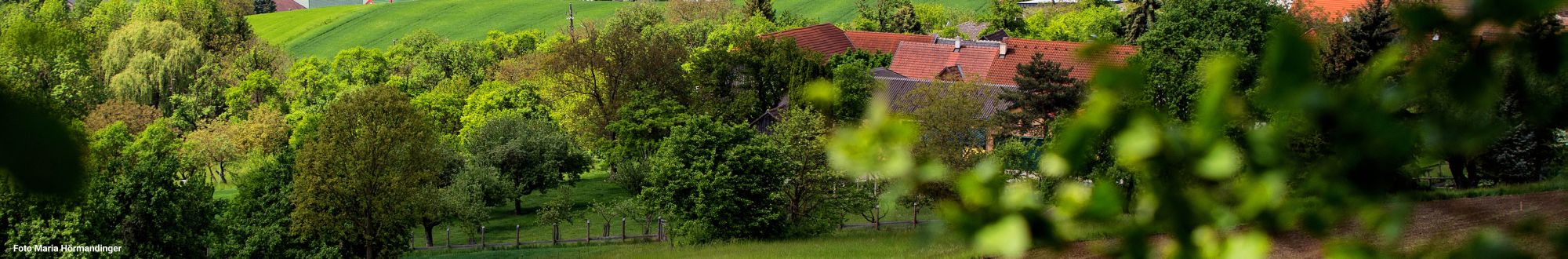 Die aktuellsten Beiträge:-