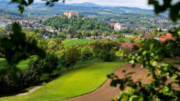 Blick von Almersberg zur Burg Neulengbach und in die Region Elsbeere Wienerwald