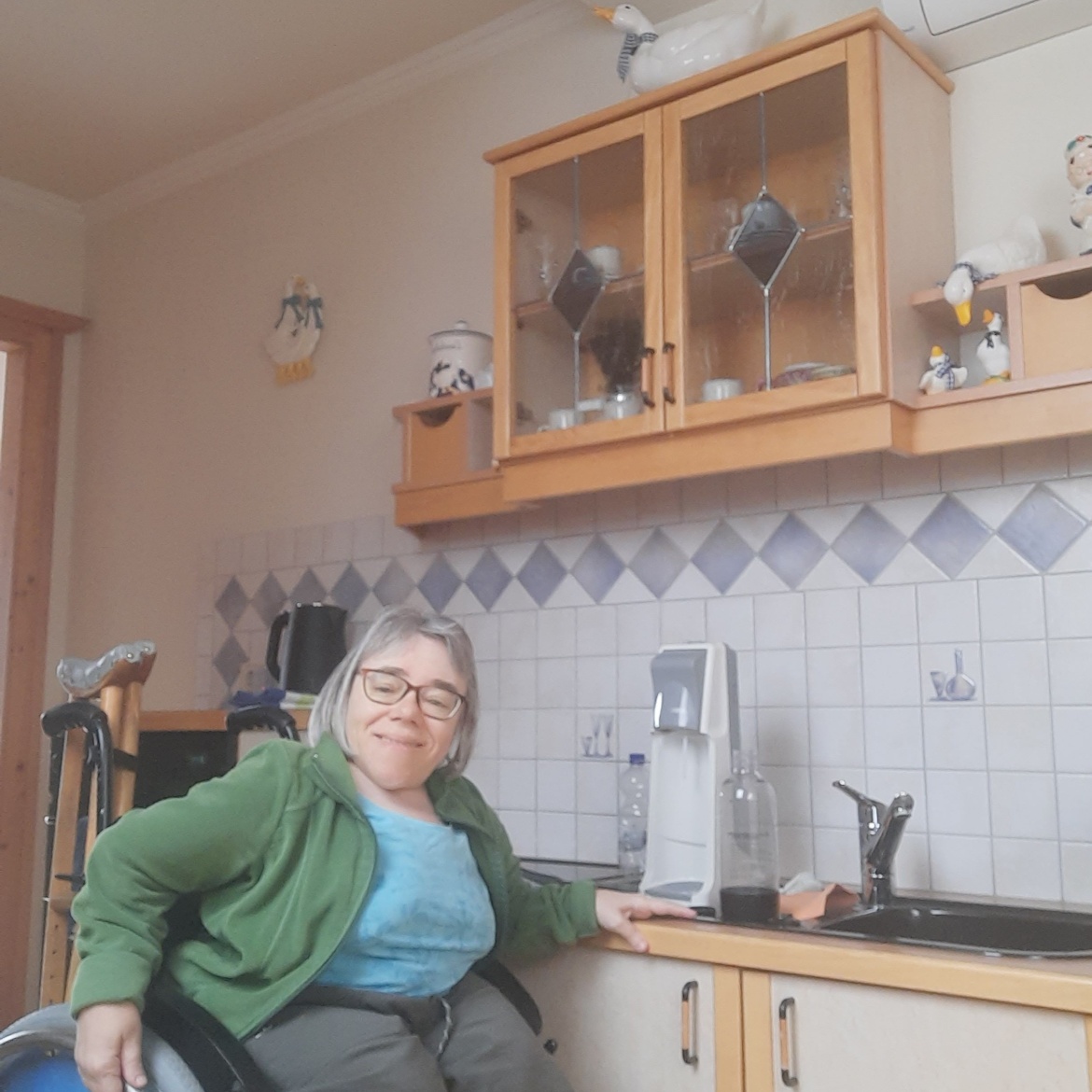 Sandra Hermann im Rollstuhl in ihrer speziell für sie angepassten Küche – Arbeitsfläche, Herdplatten und Spüle sind abgesenkt.