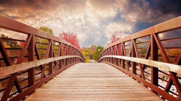 Eine Brücke, Bäume, Herbstlaub